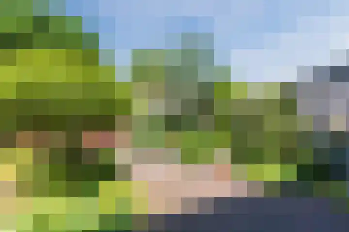 Schotvanger 11 Assendelft thumbnail 39