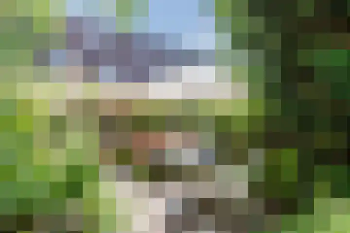 Schotvanger 11 Assendelft thumbnail 4
