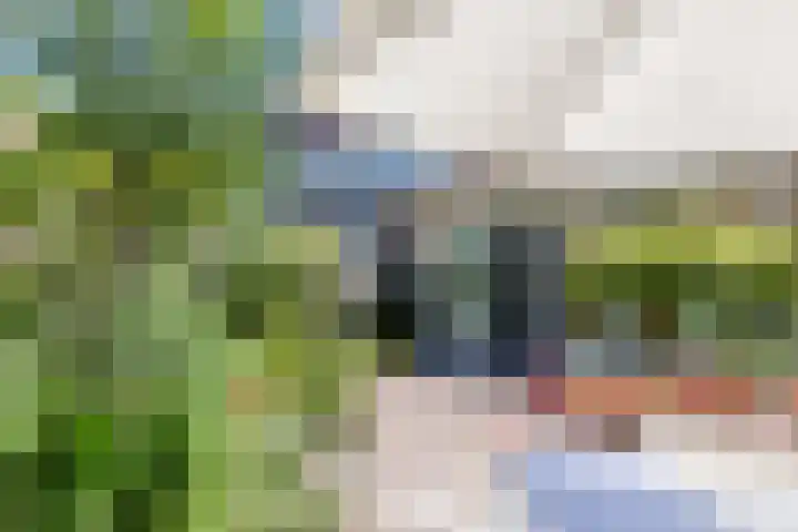 Schotvanger 11 Assendelft thumbnail 40