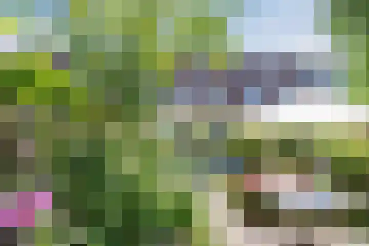 Schotvanger 11 Assendelft thumbnail 41