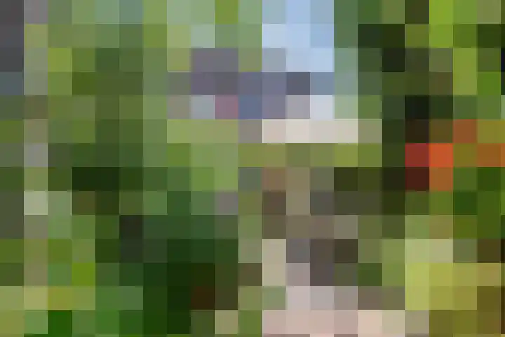 Schotvanger 11 Assendelft thumbnail 42