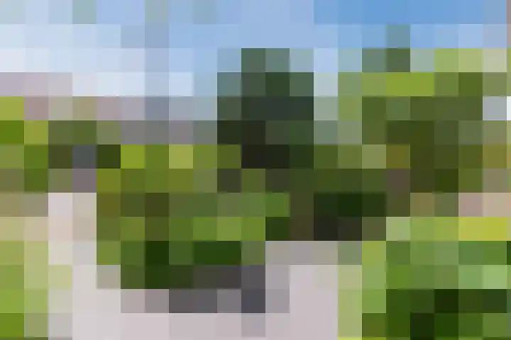 Schotvanger 11 Assendelft thumbnail 43