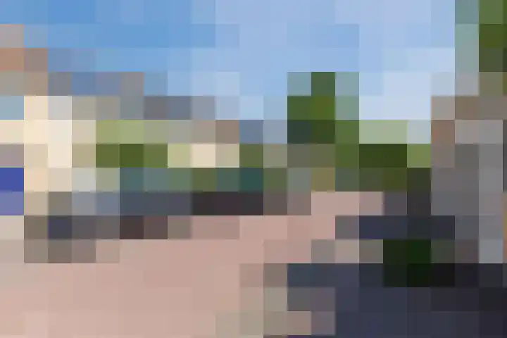 Schotvanger 11 Assendelft thumbnail 44