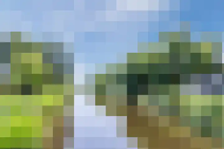 Schotvanger 11 Assendelft thumbnail 47