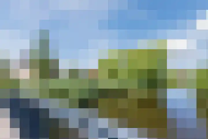 Schotvanger 11 Assendelft thumbnail 48