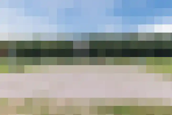 Schotvanger 11 Assendelft thumbnail 49