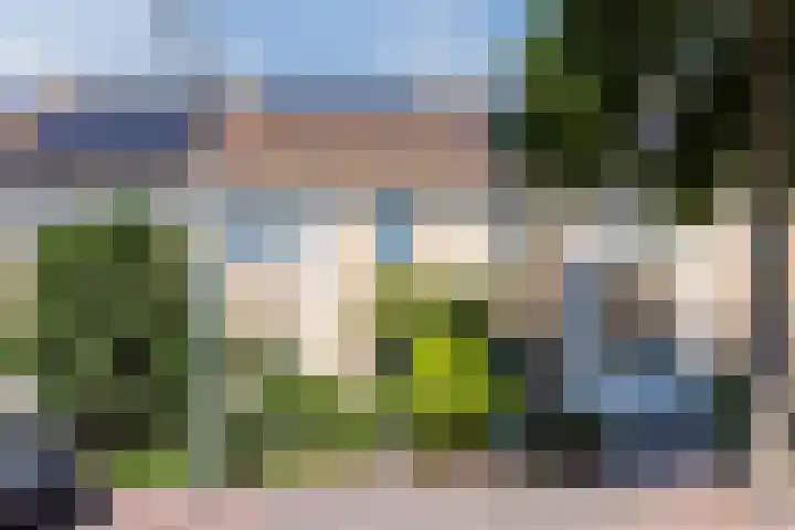 Schotvanger 11 Assendelft thumbnail 5