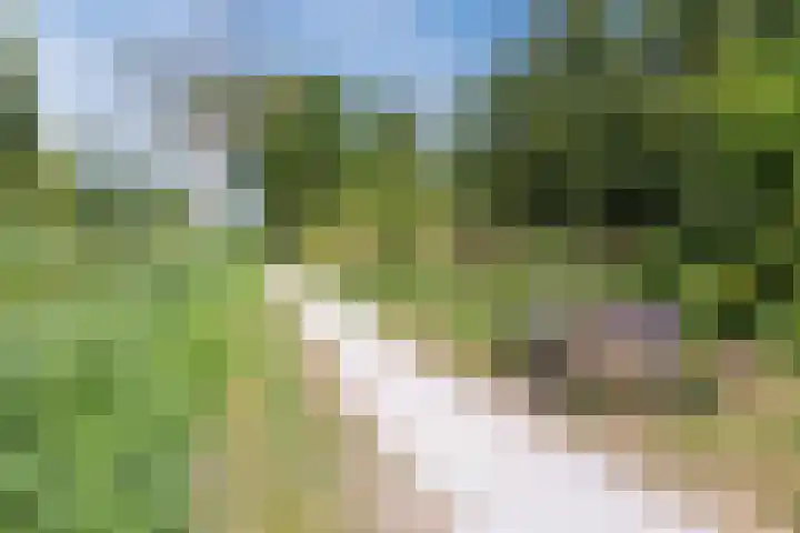 Schotvanger 11 Assendelft thumbnail 50