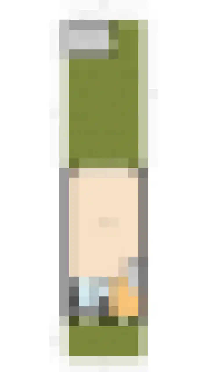 Schotvanger 11 Assendelft thumbnail 54
