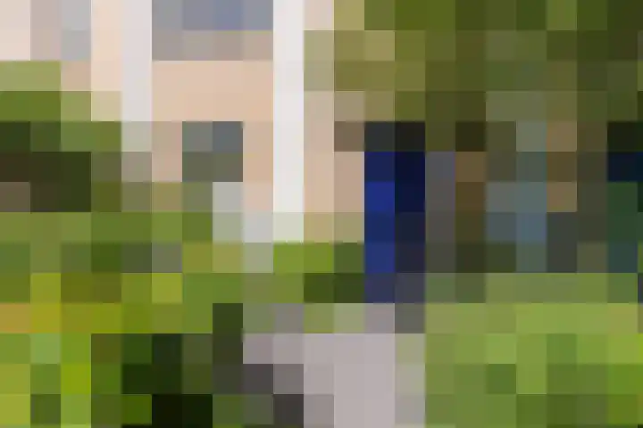 Schotvanger 11 Assendelft thumbnail 6