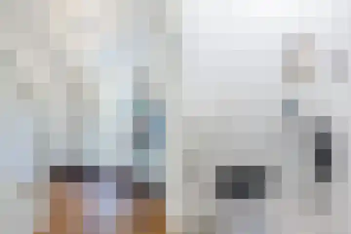Schotvanger 11 Assendelft thumbnail 7