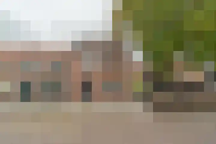 Schotwal 14 Kruiningen