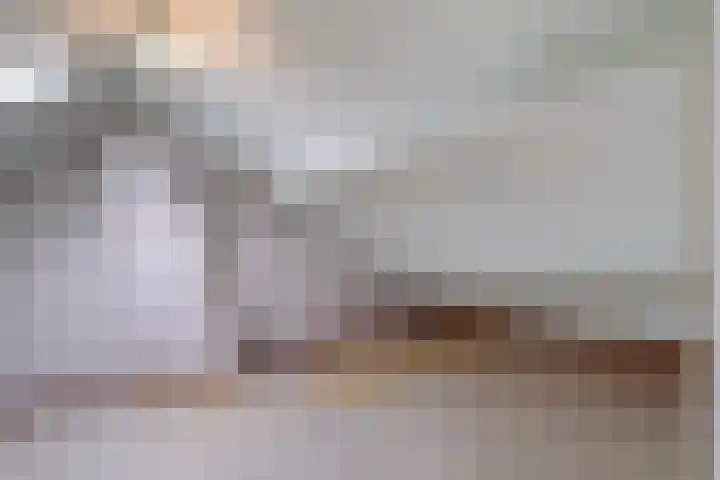Schotwal 14 Kruiningen thumbnail 16