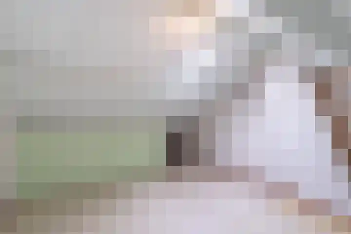 Schotwal 14 Kruiningen thumbnail 17