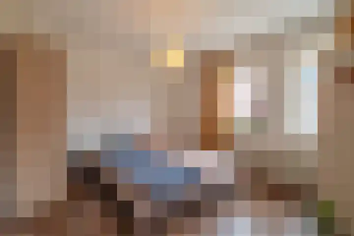 Schotwal 14 Kruiningen thumbnail 19
