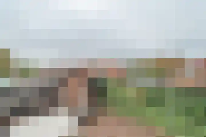 Schotwal 14 Kruiningen thumbnail 23