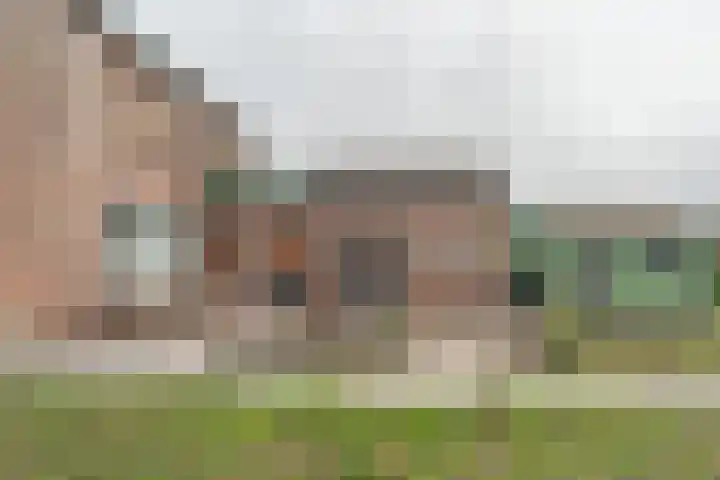 Schotwal 14 Kruiningen thumbnail 27