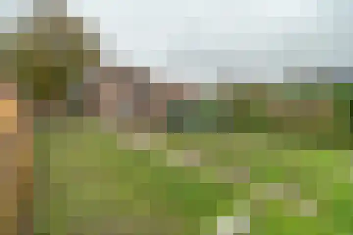 Schotwal 14 Kruiningen thumbnail 29
