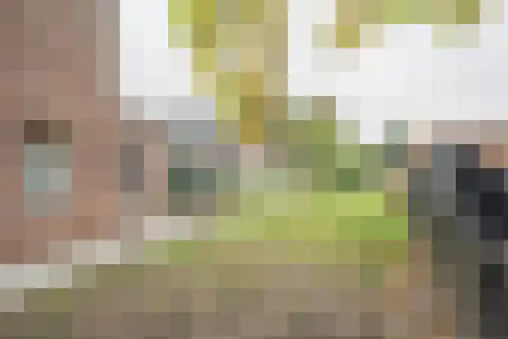 Schotwal 14 Kruiningen thumbnail 30