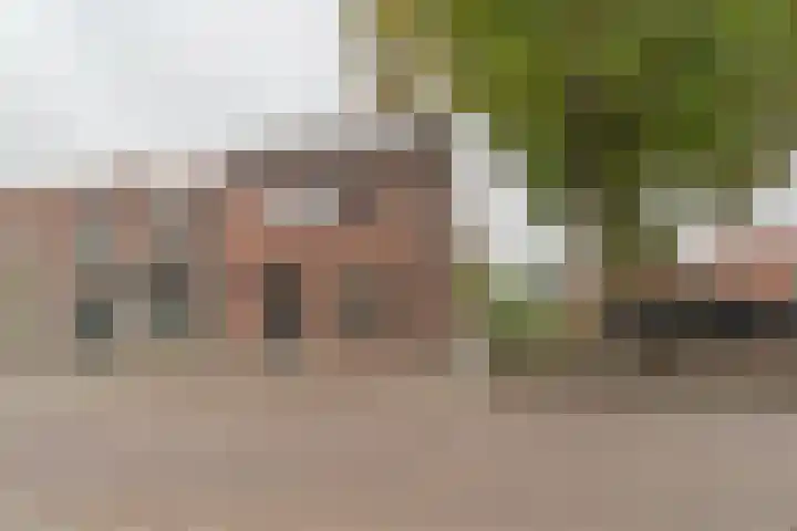 Schotwal 14 Kruiningen thumbnail 32