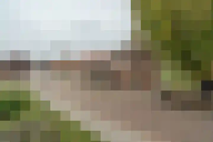 Schotwal 14 Kruiningen thumbnail 33