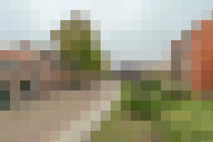 Schotwal 14 Kruiningen thumbnail 34