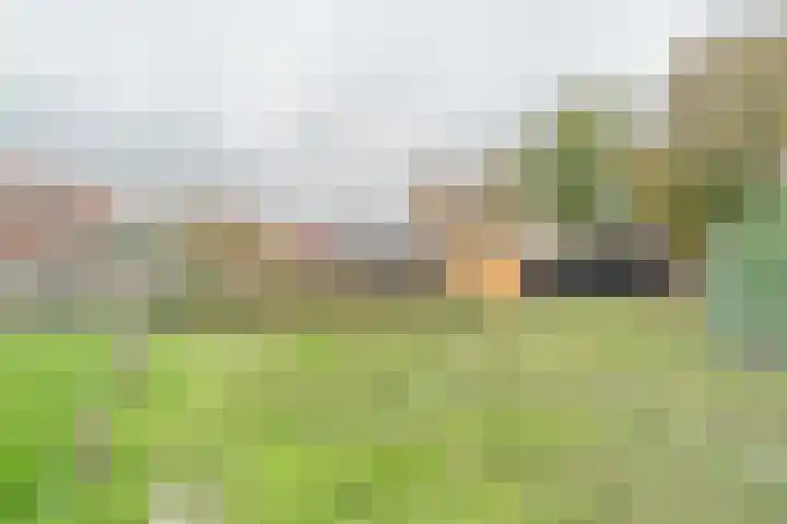 Schotwal 14 Kruiningen thumbnail 35