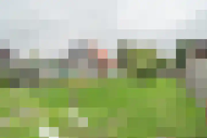 Schotwal 14 Kruiningen thumbnail 36