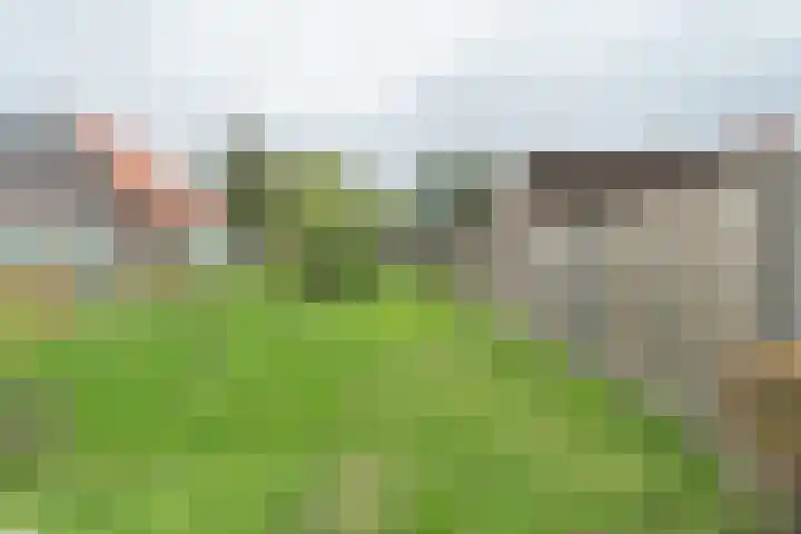 Schotwal 14 Kruiningen thumbnail 37