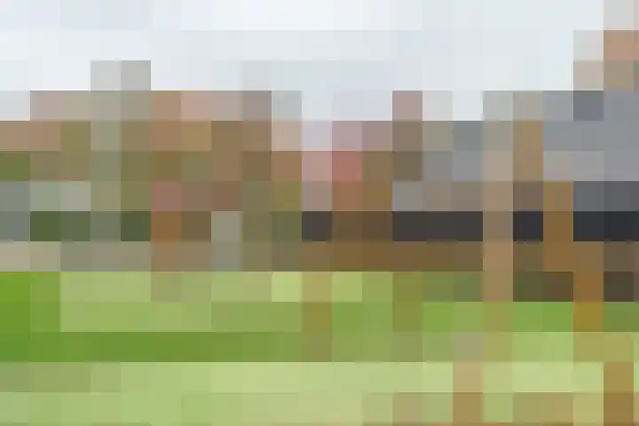 Schotwal 14 Kruiningen thumbnail 38