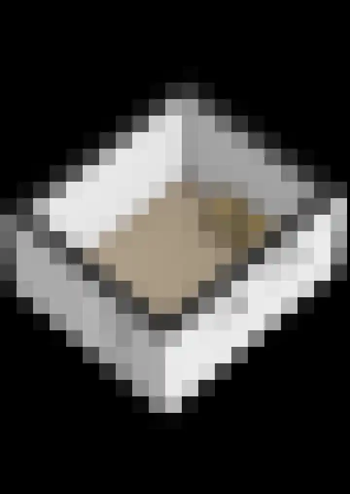 Schotwal 14 Kruiningen thumbnail 47