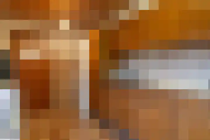 Schotwal 14 Kruiningen thumbnail 8