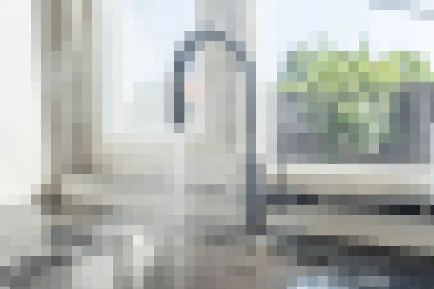 Schotwal 16 Kruiningen thumbnail 18