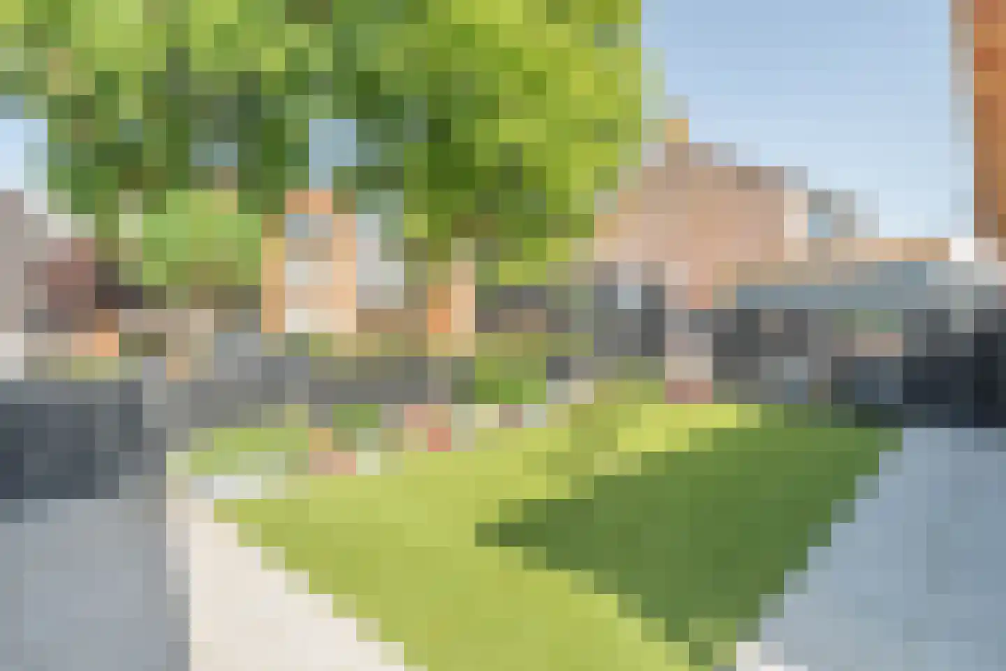 Schotwal 16 Kruiningen thumbnail 37