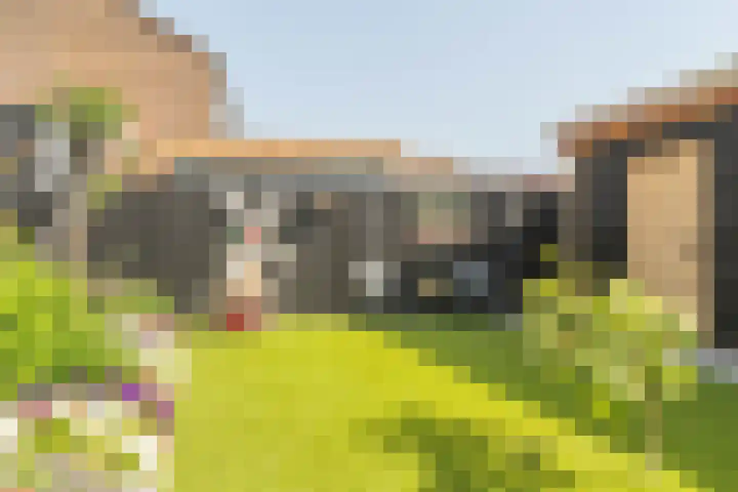Schotwal 16 Kruiningen thumbnail 38