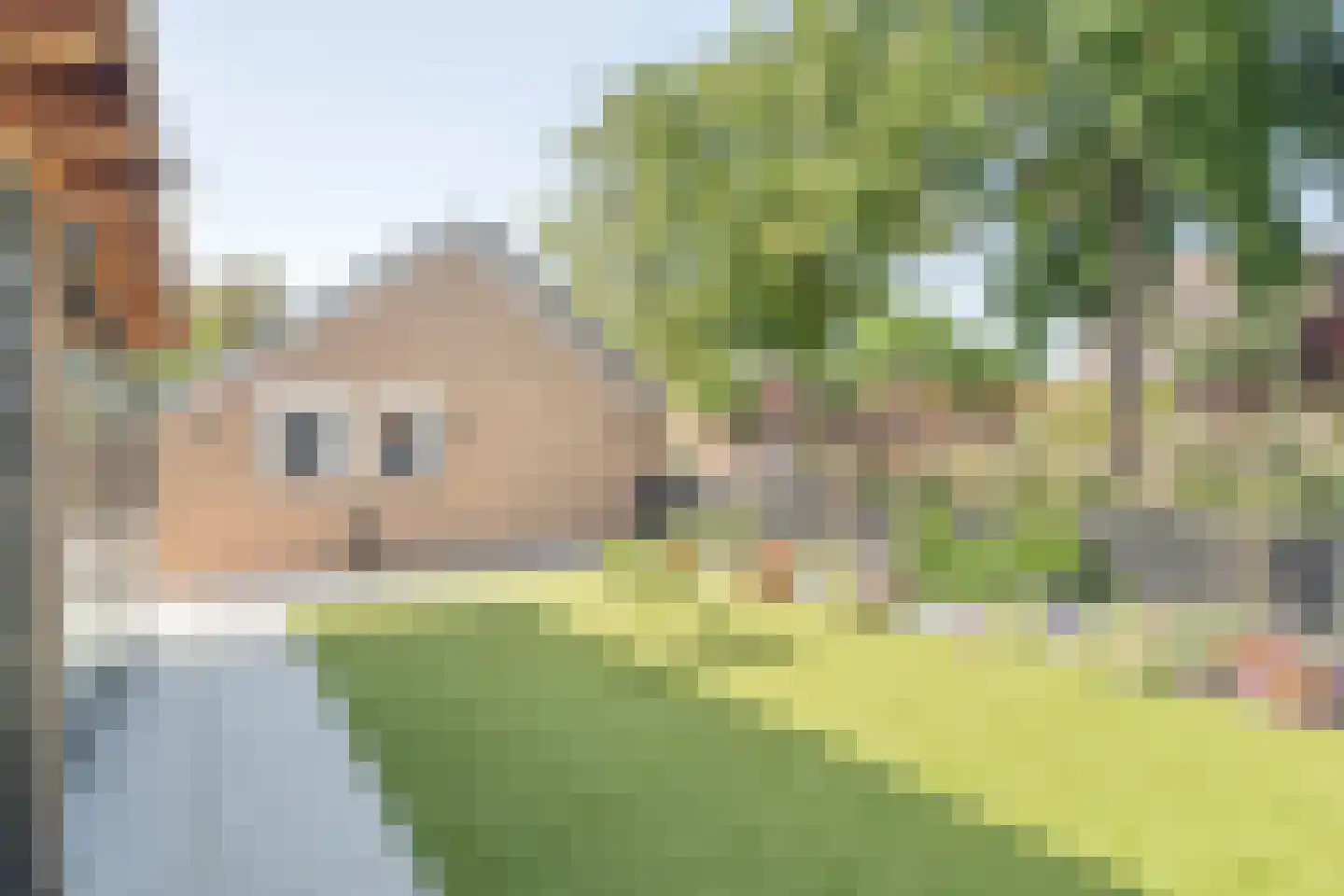 Schotwal 16 Kruiningen thumbnail 39