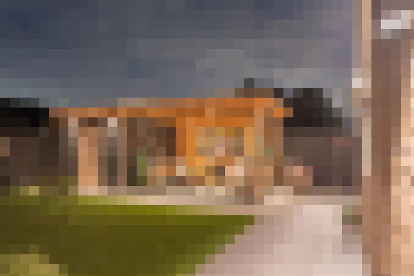 Schotwal 16 Kruiningen thumbnail 4