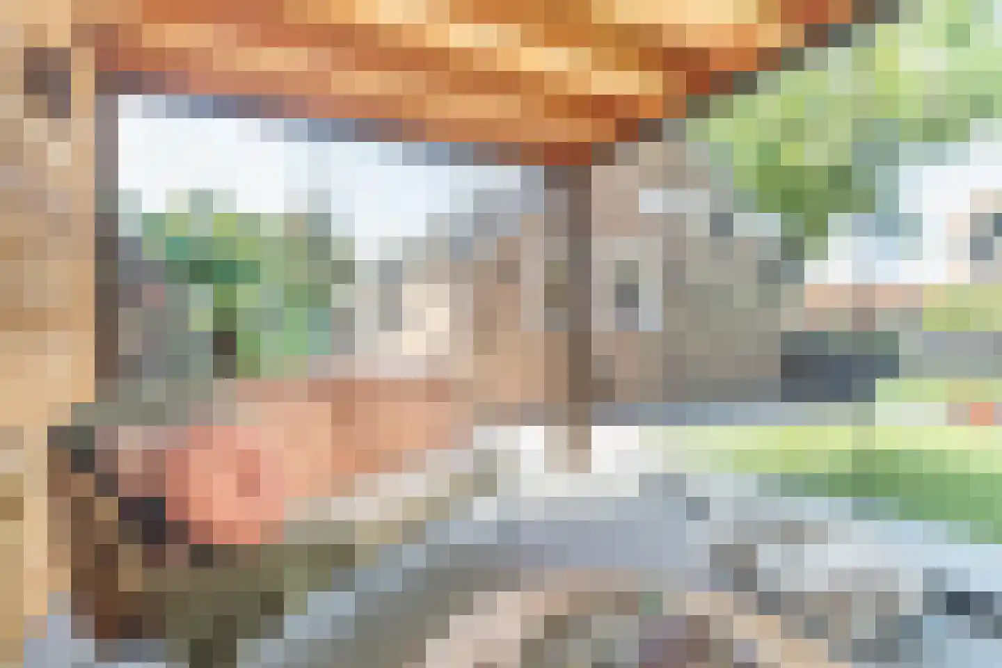 Schotwal 16 Kruiningen thumbnail 43