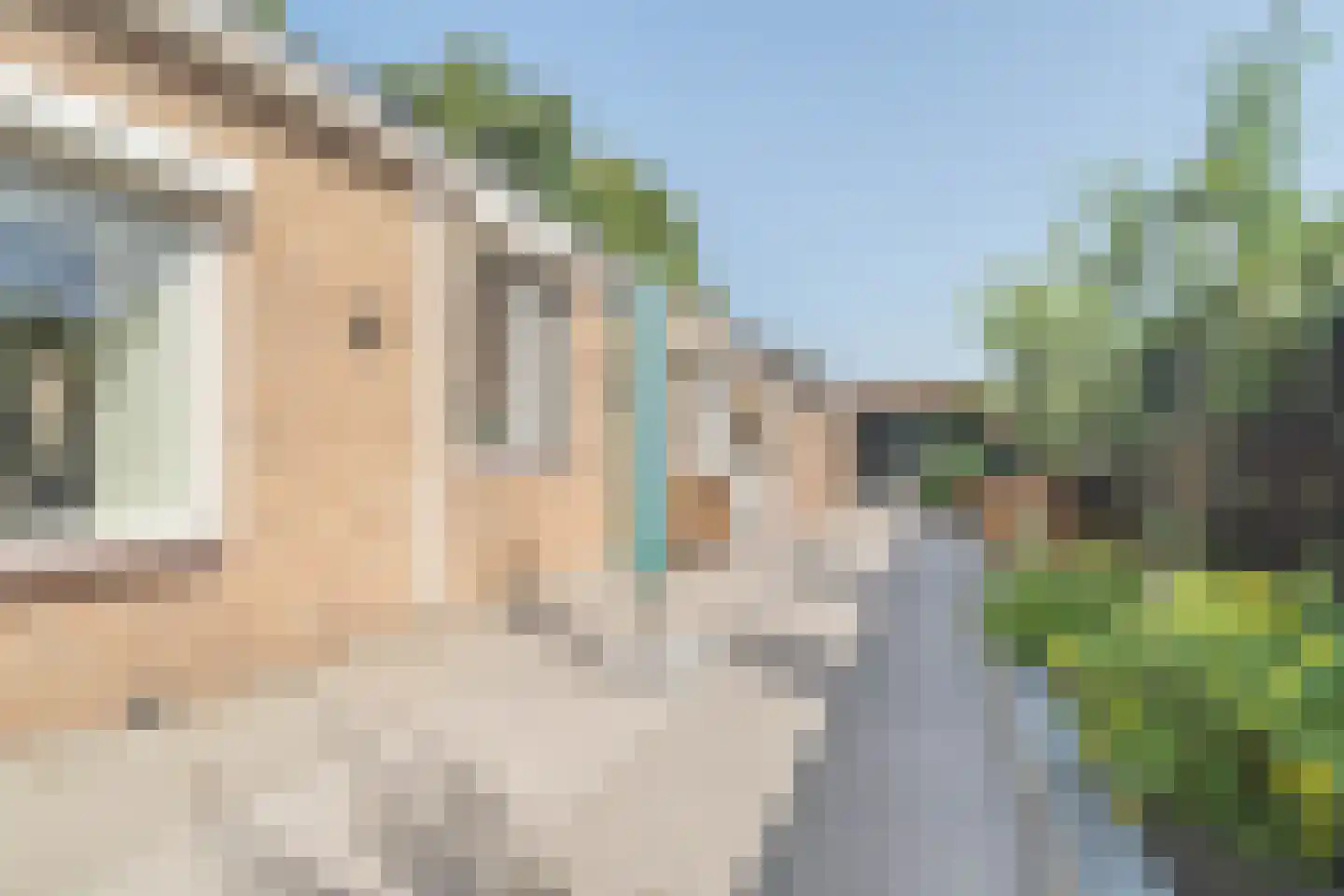 Schotwal 16 Kruiningen thumbnail 47