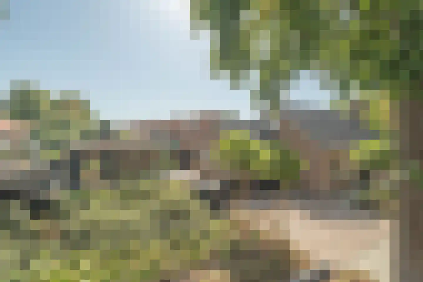 Schotwal 16 Kruiningen thumbnail 48