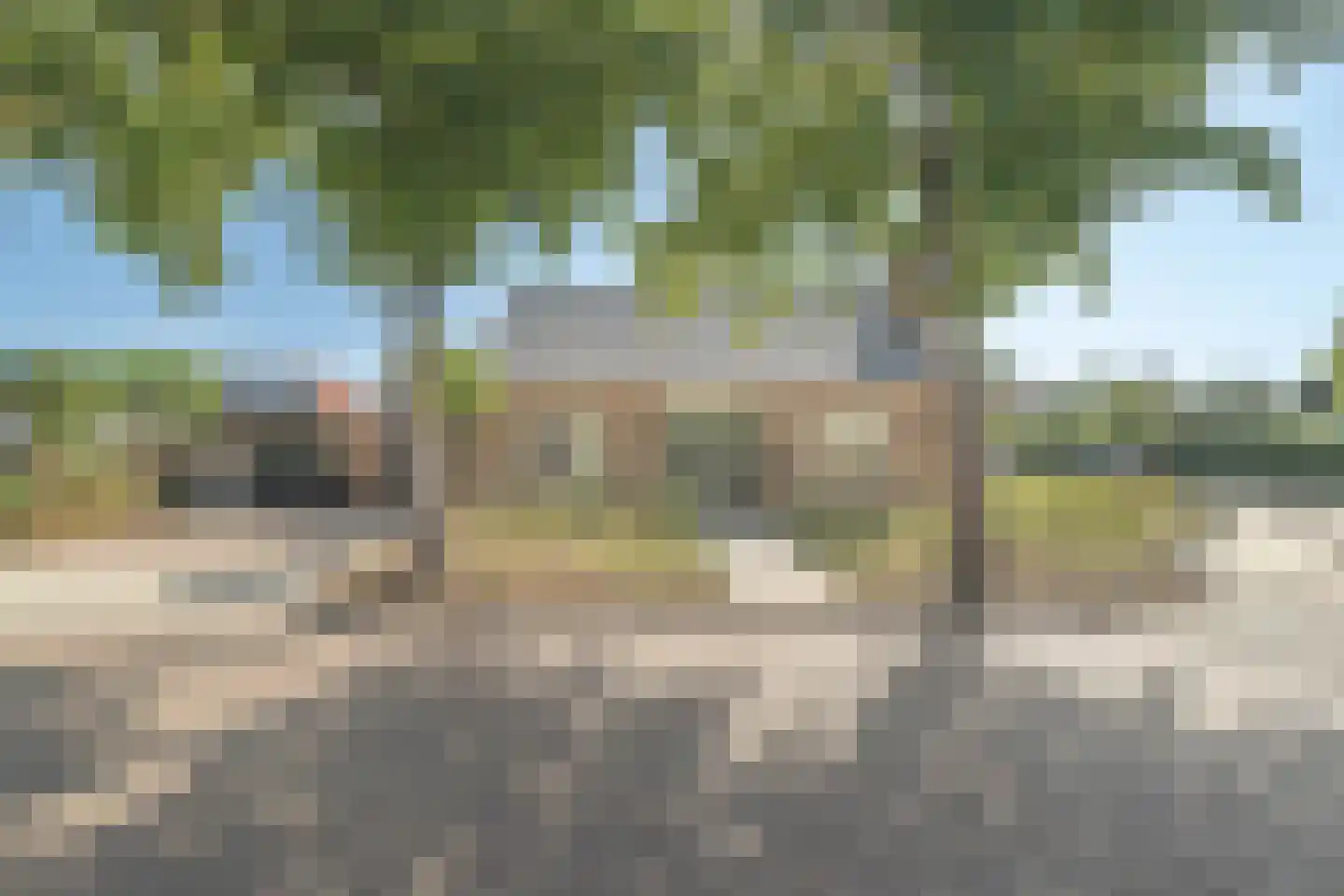 Schotwal 16 Kruiningen thumbnail 49