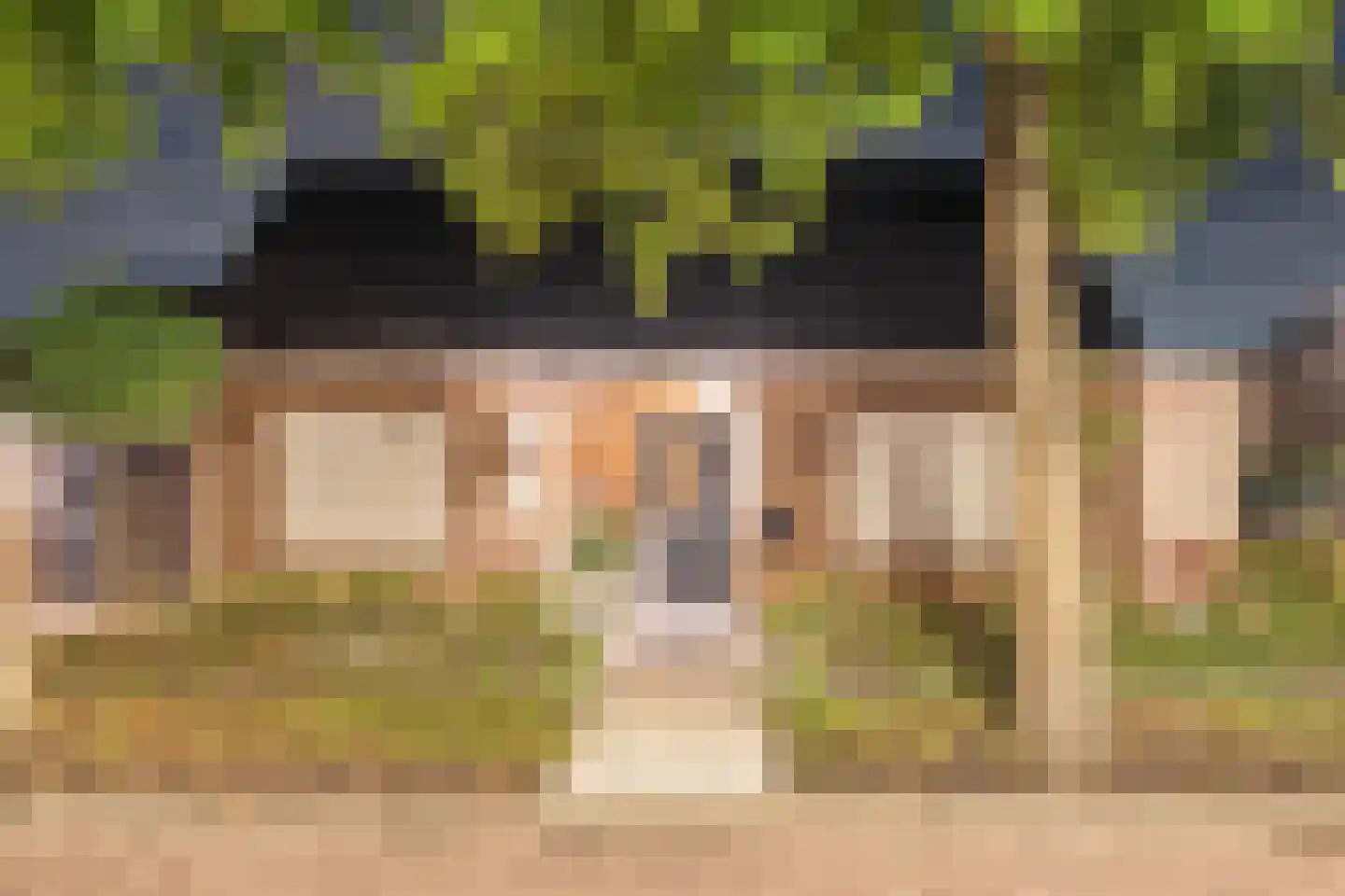 Schotwal 16 Kruiningen thumbnail 6