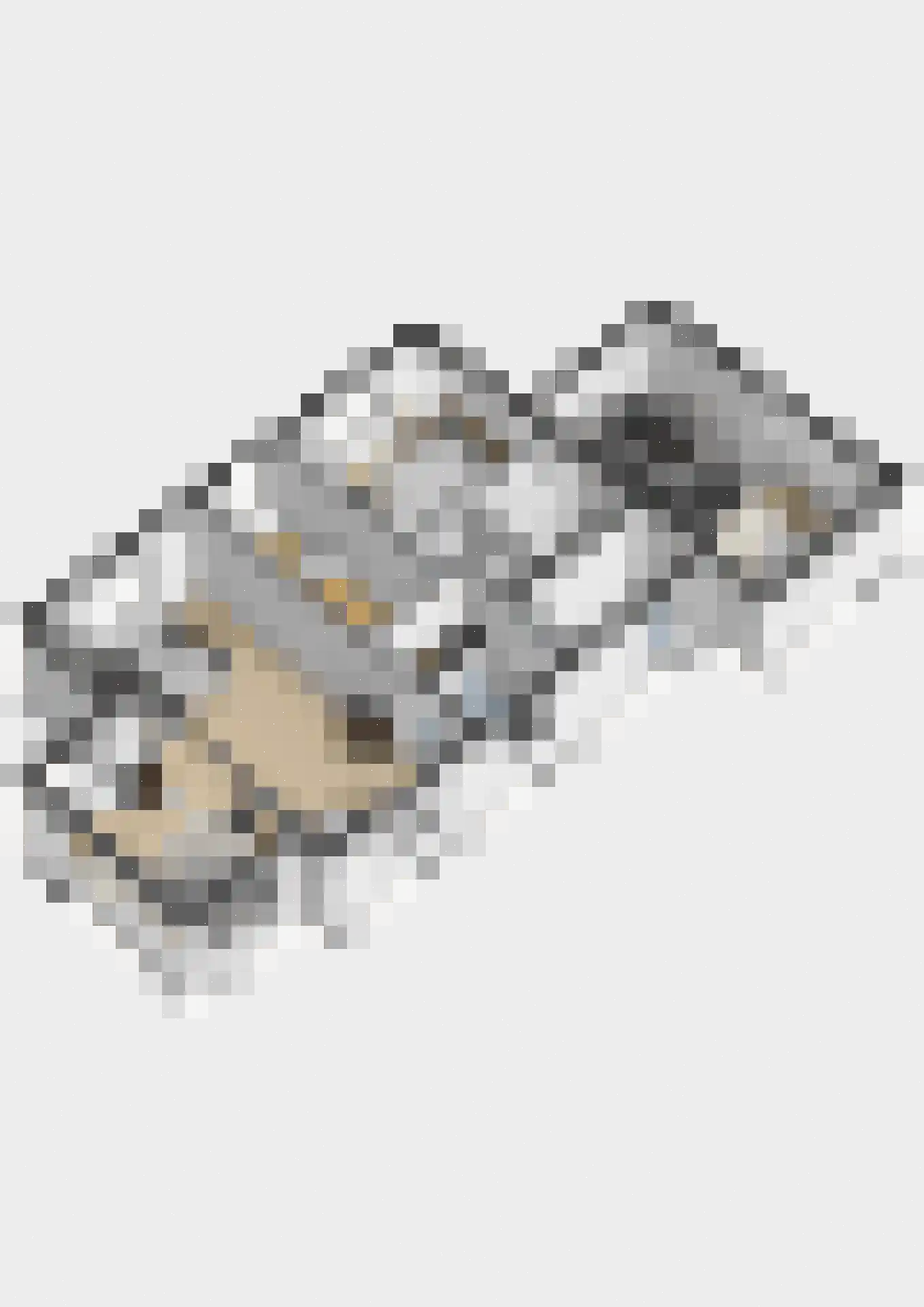 Schotwal 16 Kruiningen thumbnail 60