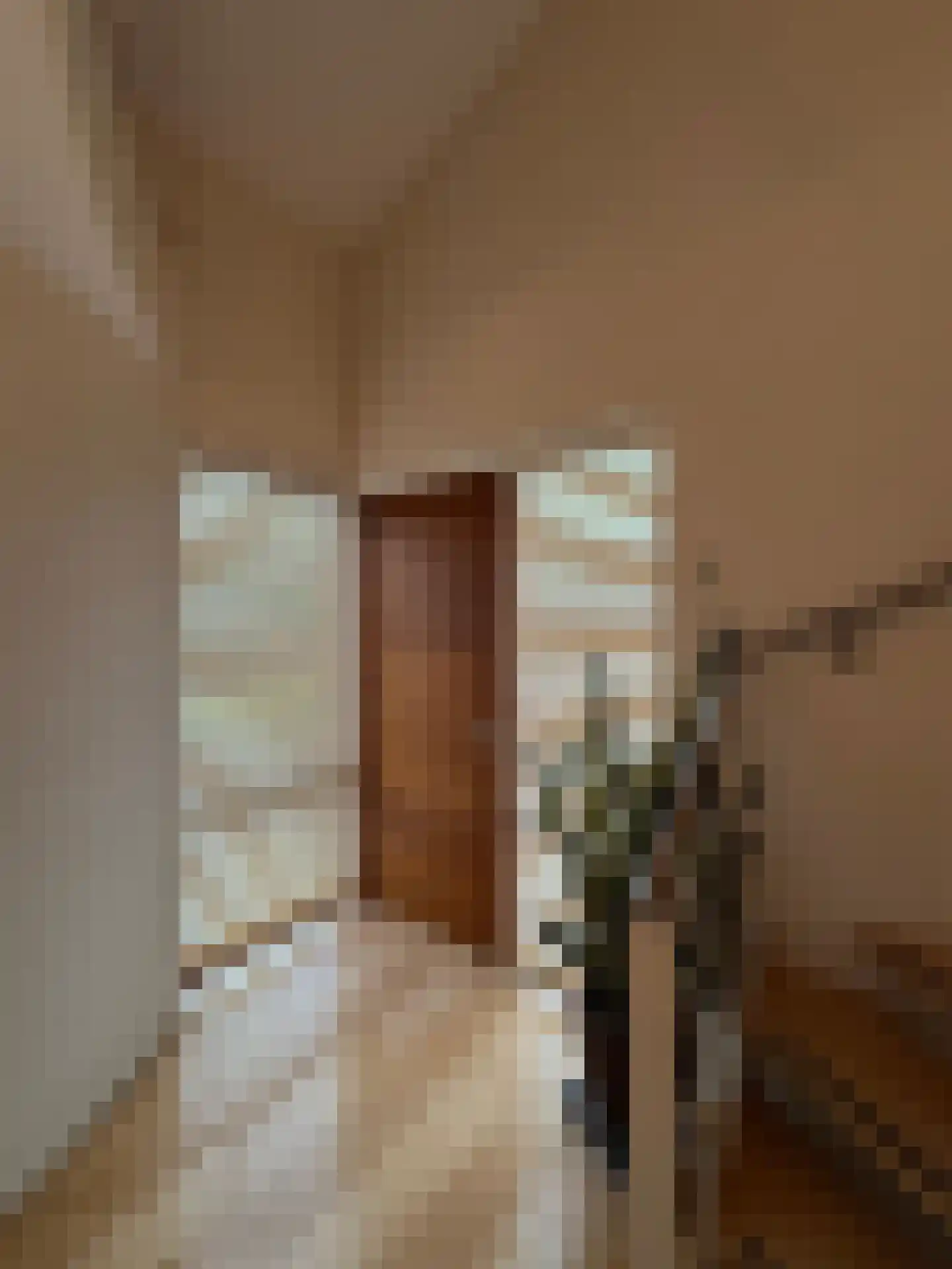 Schotweg 11 Hulshorst thumbnail 10