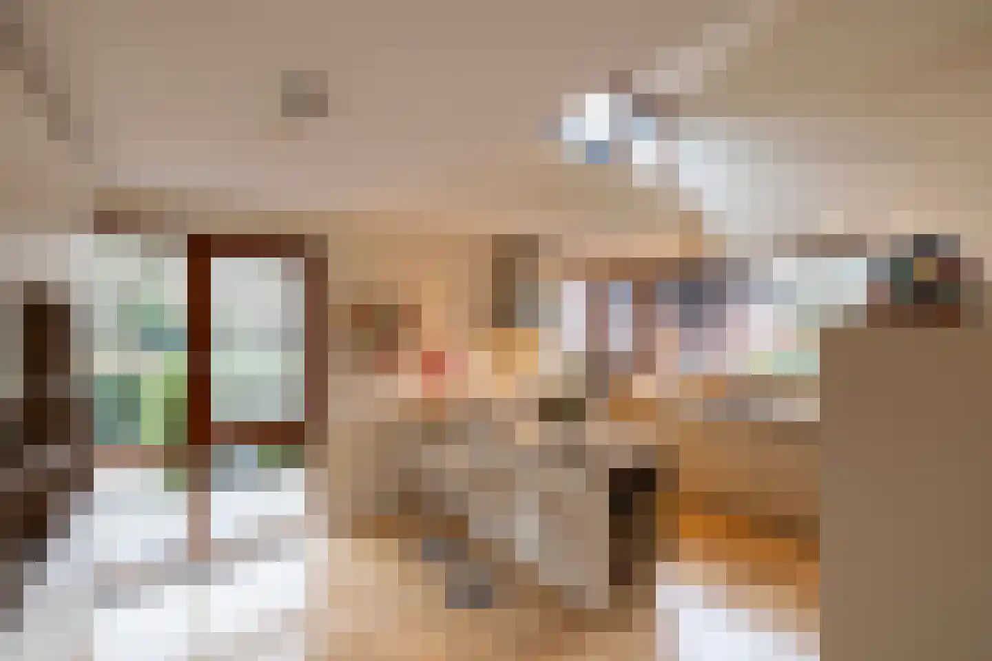 Schotweg 11 Hulshorst thumbnail 19
