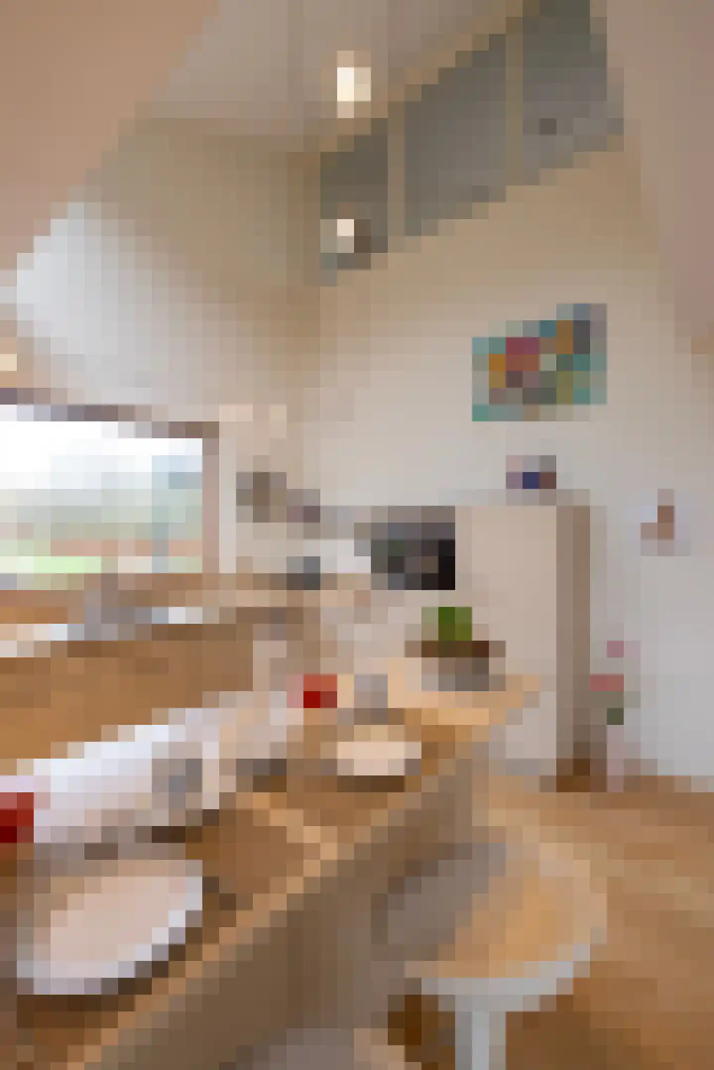 Schotweg 11 Hulshorst thumbnail 20