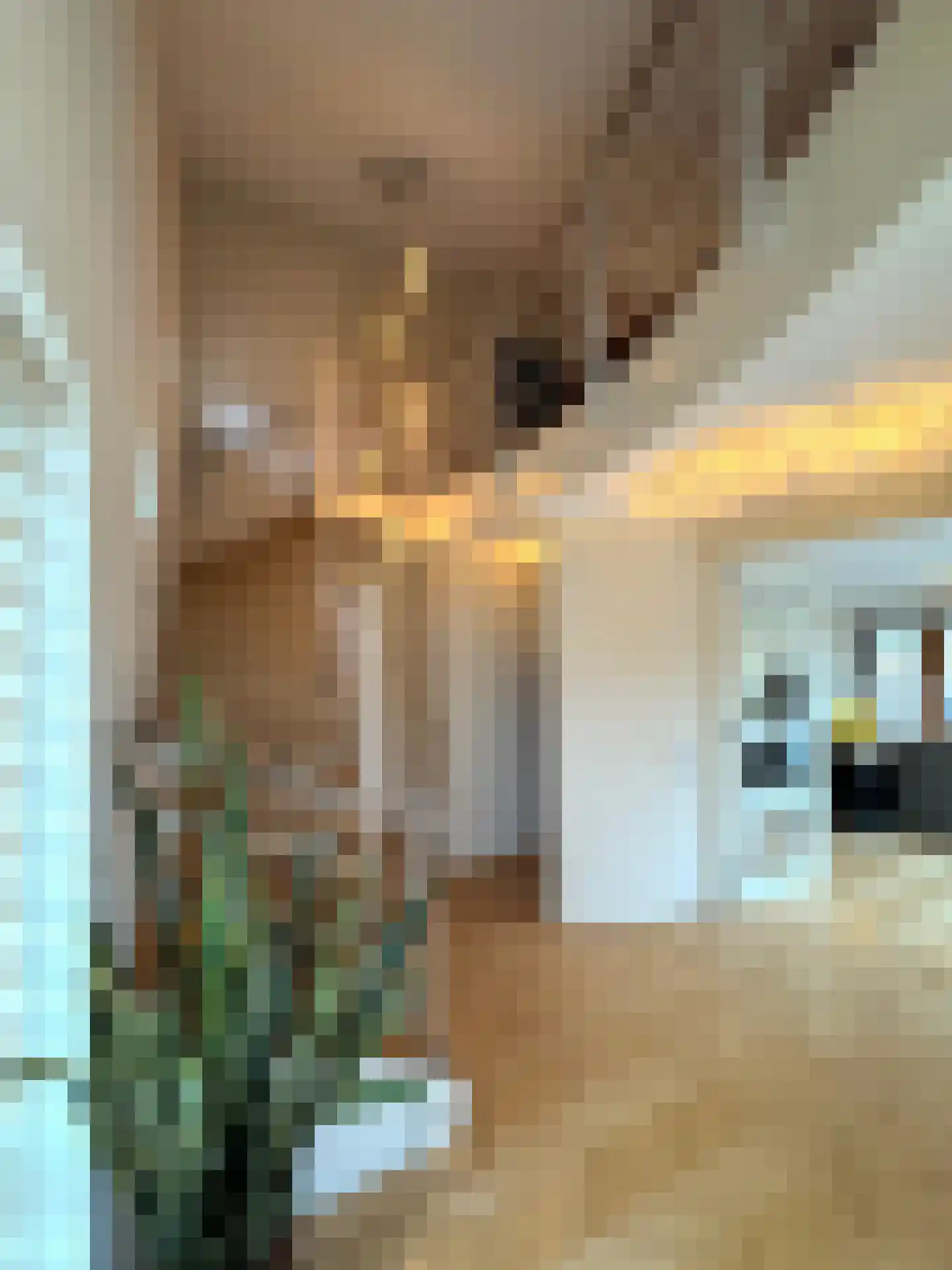 Schotweg 11 Hulshorst thumbnail 27