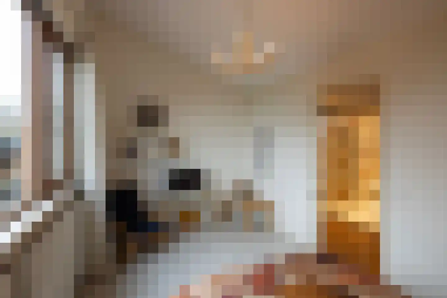 Schotweg 11 Hulshorst thumbnail 32