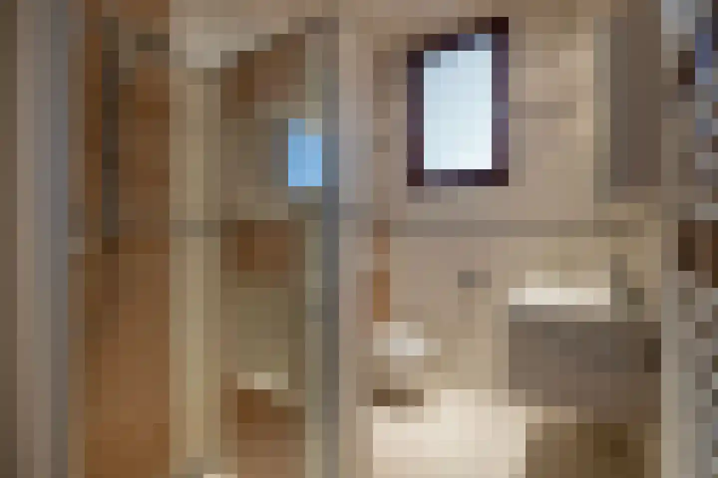 Schotweg 11 Hulshorst thumbnail 36