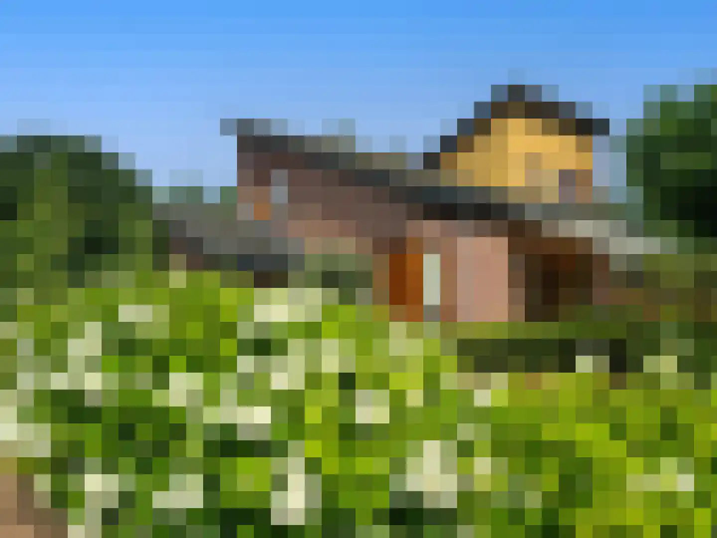Schotweg 11 Hulshorst thumbnail 4